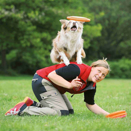 Hund mit braunem Fell balanciert auf dem Rücken einer knienden Person, beide schauen auf eine schwebende Frisbee.