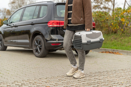 Person trägt eine graue Transportbox neben einem schwarzen Auto auf gepflastertem Weg.