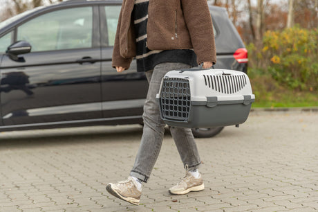Person trägt eine graue Transportbox vor einem geparkten Auto auf einem Pflastersteinweg.