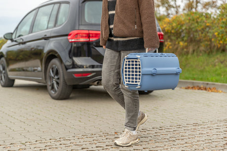 Person trägt eine blaue Transportbox neben einem schwarzen Auto auf einem Parkplatz.