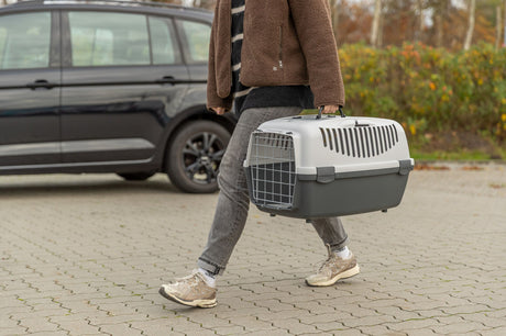 Person trägt graue Transportbox neben schwarzem Auto auf gepflastertem Weg.