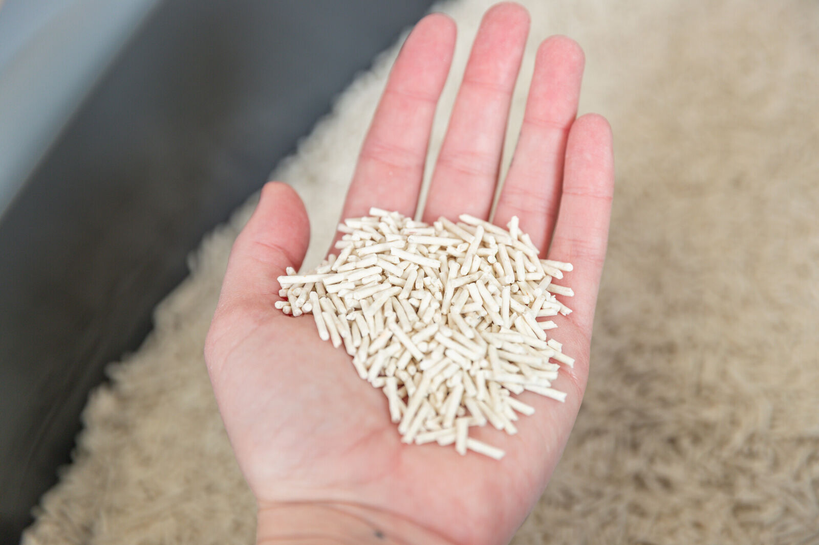Eine Hand hält eine Menge beige farbener Stäbchen vor einem unscharfen Hintergrund.