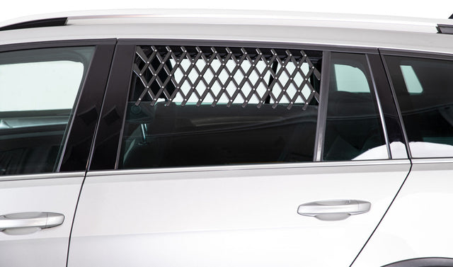 Silbernes Auto mit geschlossenen Fenstern und einem schwarzen Gitter im oberen Teil des hinteren Seitenfensters.