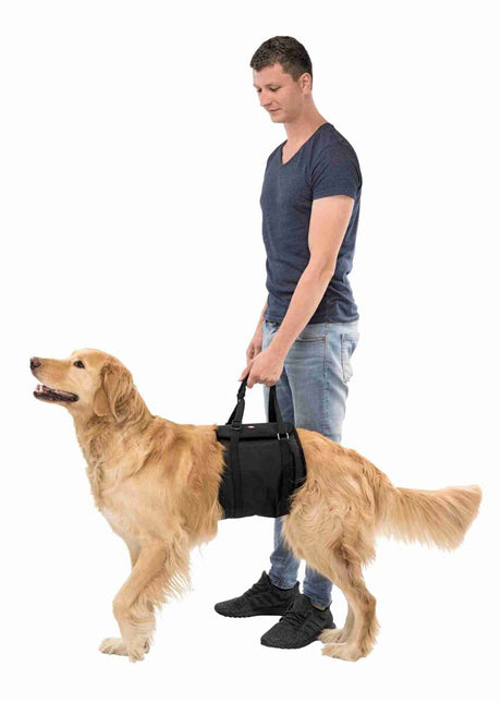 Ein Mann in blauer Kleidung hält eine schwarze Tragehilfe, die um einen golden gefärbten Hund gelegt ist.