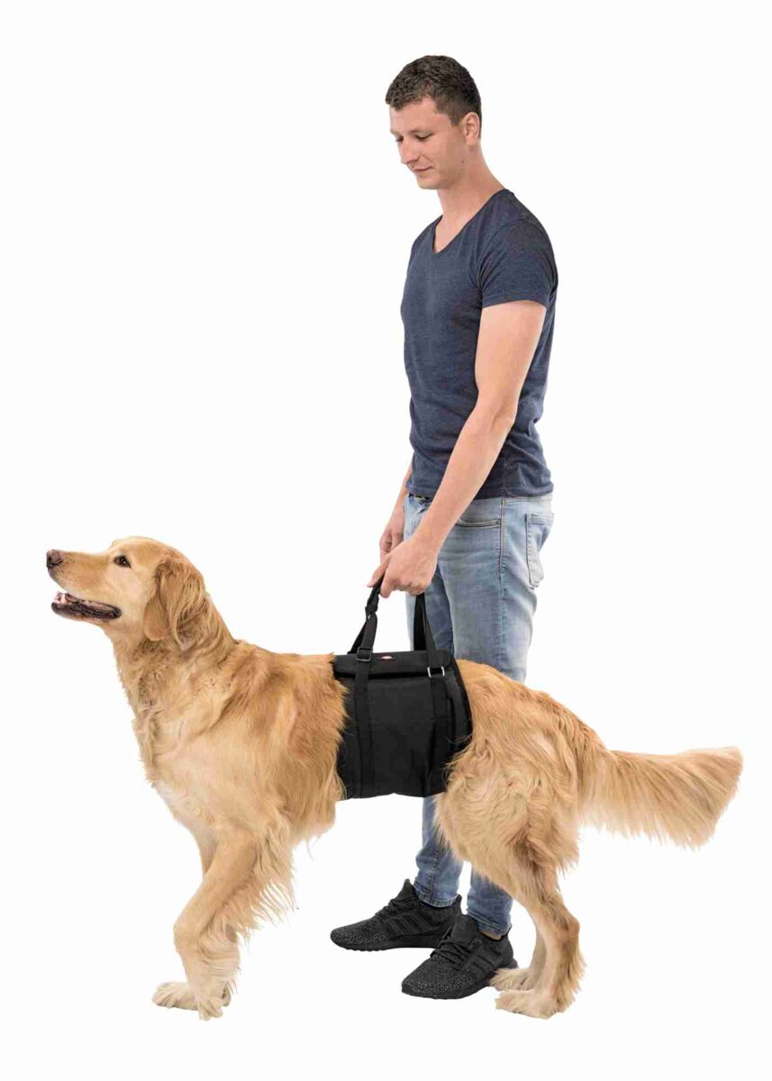 Ein Mann in blauer Kleidung hält eine schwarze Tragehilfe, die um einen golden gefärbten Hund gelegt ist.