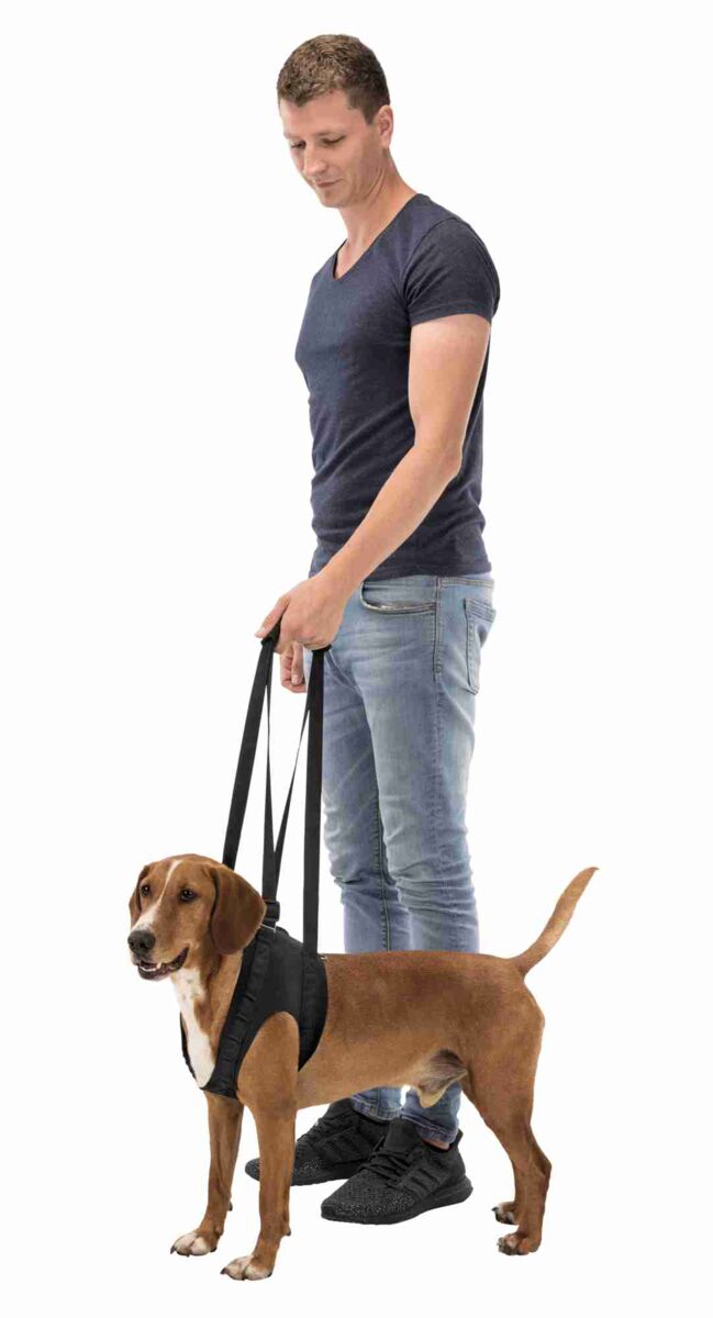 Mann in dunklem T-Shirt und Jeans hält einen braunen Hund an einer schwarzen Tragehilfe.