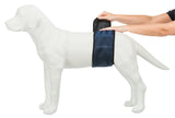 PHO_PRO_USE_CLIP_23661-23662-23663-23664-23665-5