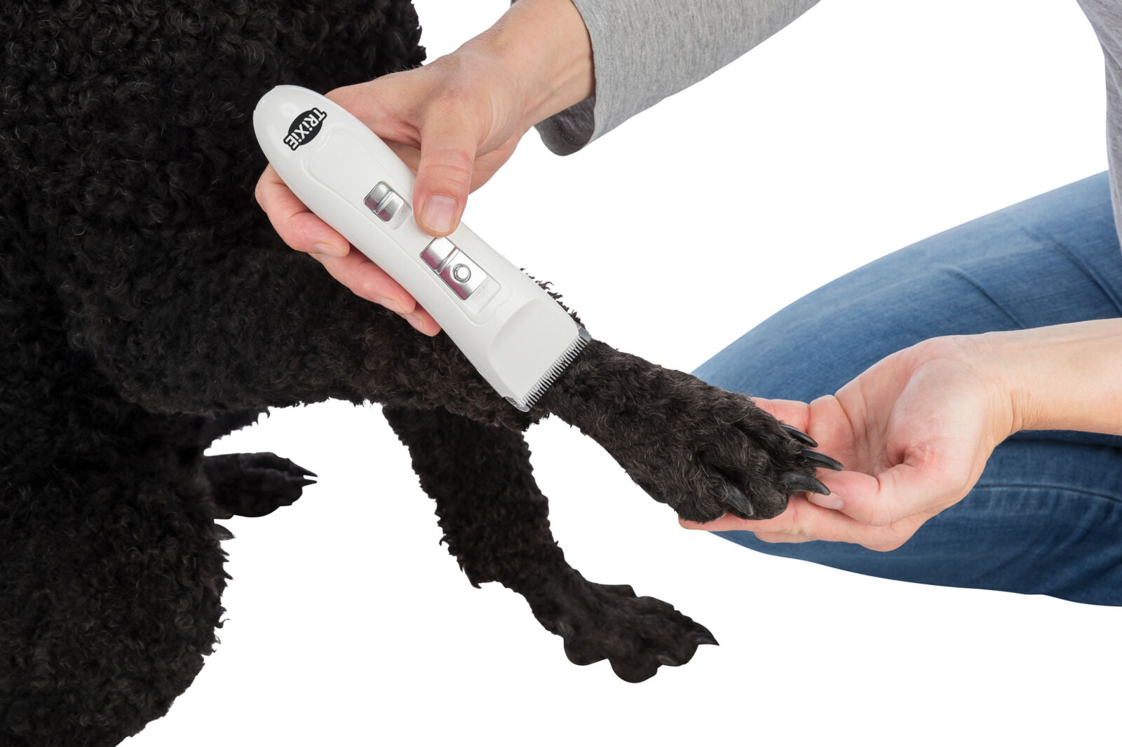 Eine Person hält eine weiße Tierhaarschneidemaschine an der Pfote eines schwarzen Hundes.
