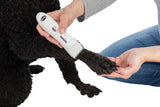 Eine Person hält eine weiße Tierhaarschneidemaschine an der Pfote eines schwarzen Hundes.