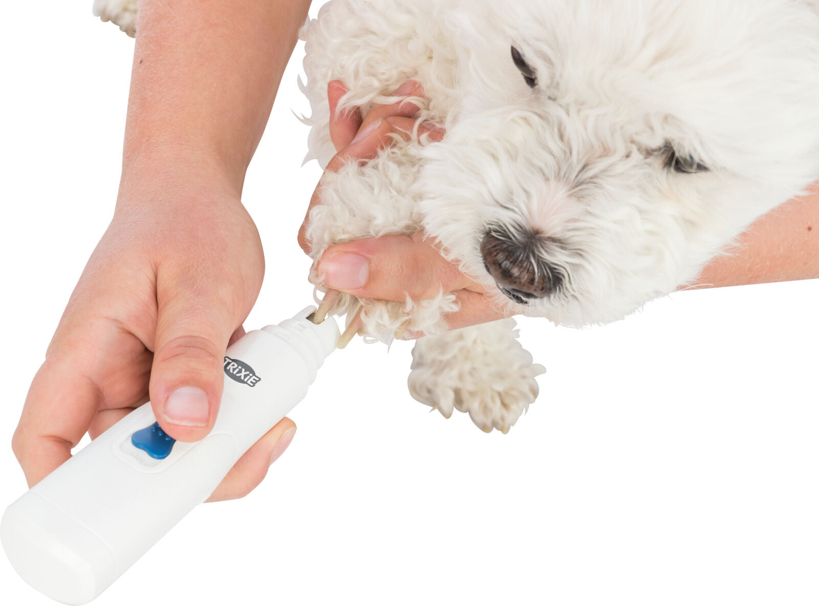 Eine Person hält einen kleinen, weißen Hund und benutzt ein weißes Pflegegerät, um die Krallen des Hundes zu bearbeiten.