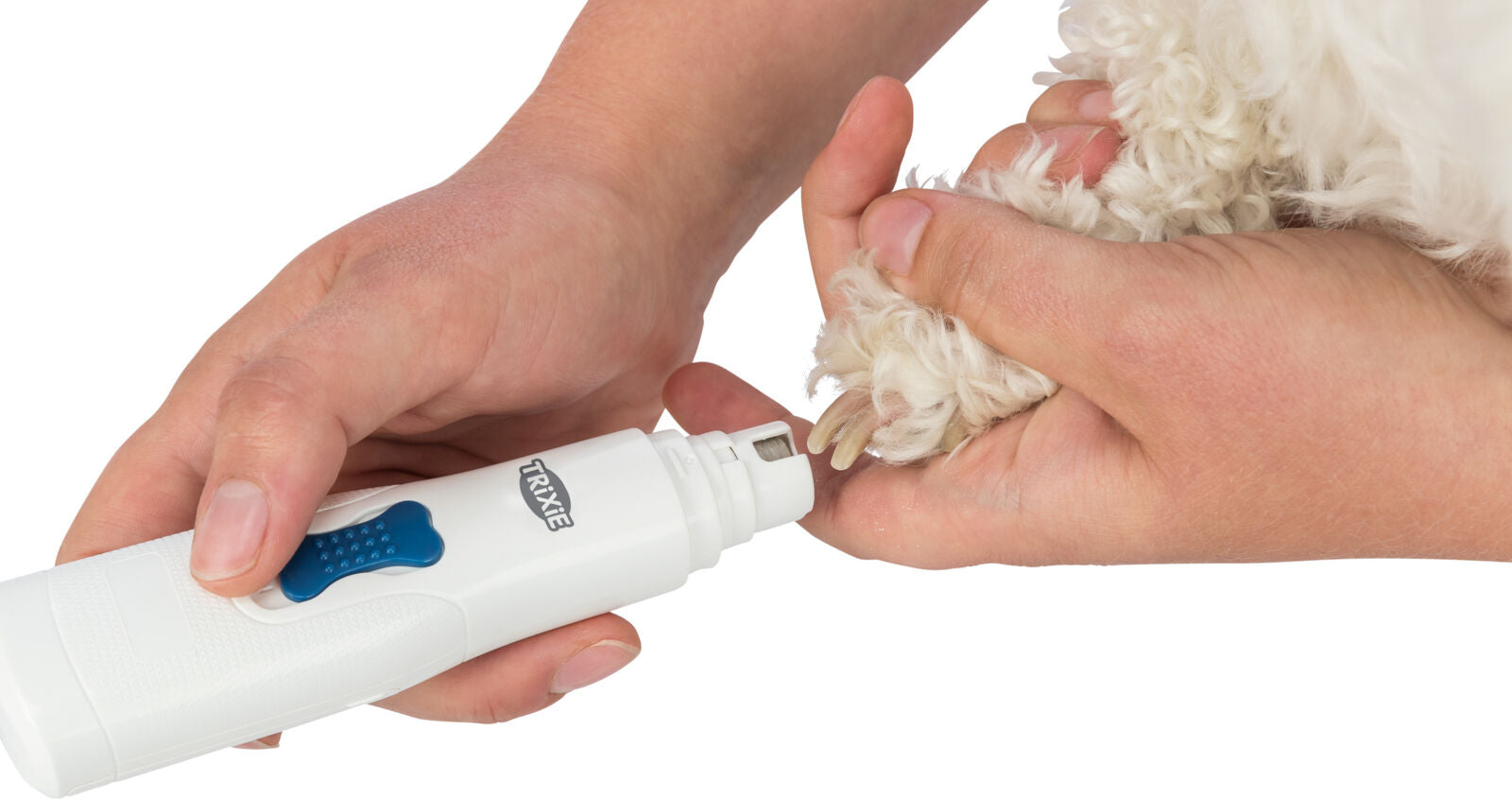 Eine Person hält die Pfote eines Hundes und benutzt einen weißen elektrischen Krallenschneider der Marke Trixie.
