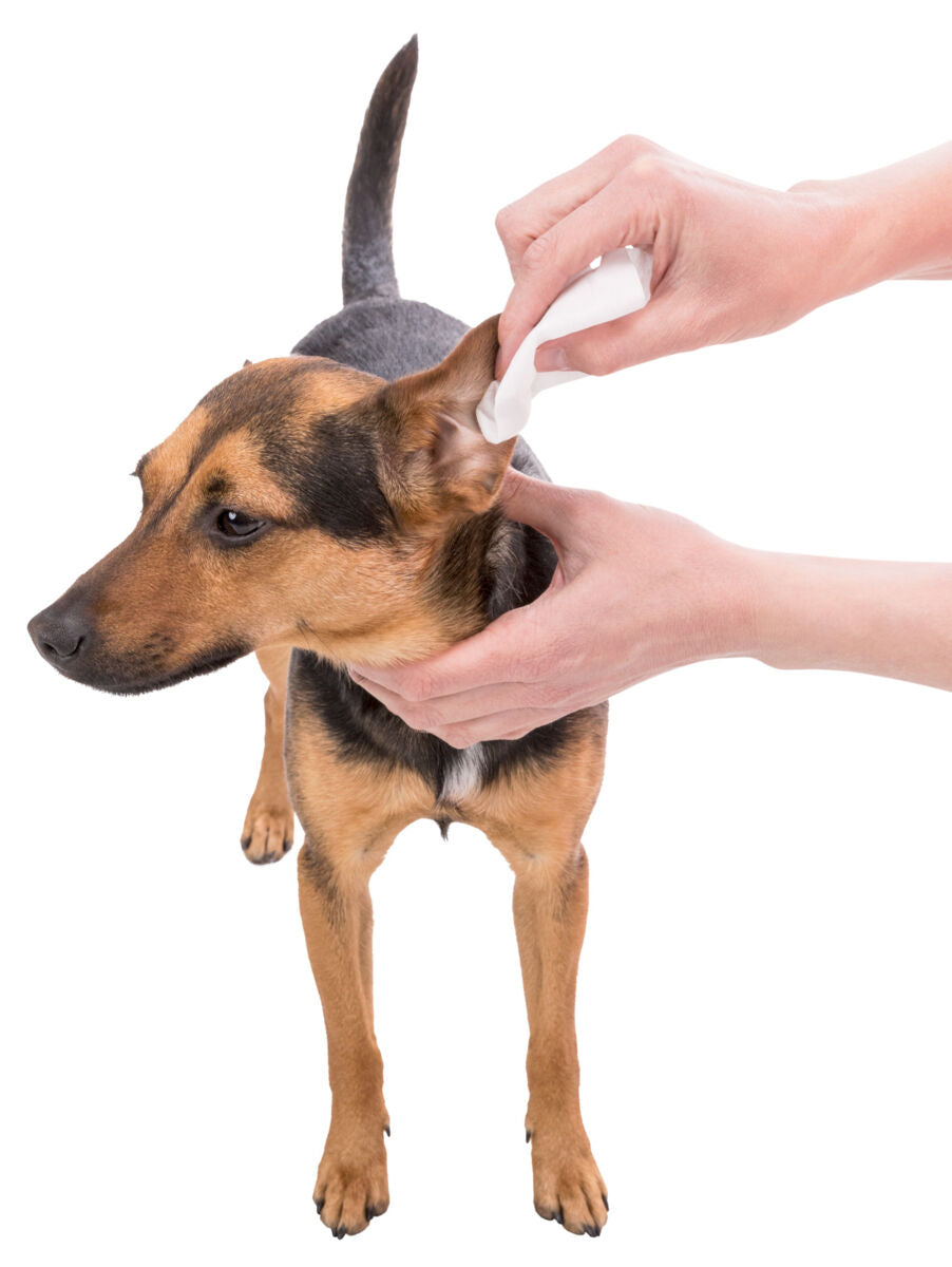 PHO_PRO_USE_CLIP_29416-3