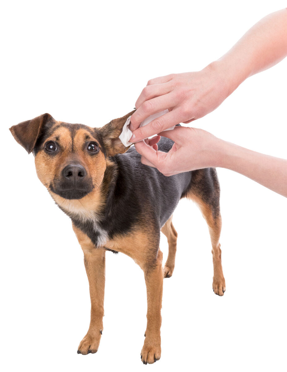 PHO_PRO_USE_CLIP_29416-5