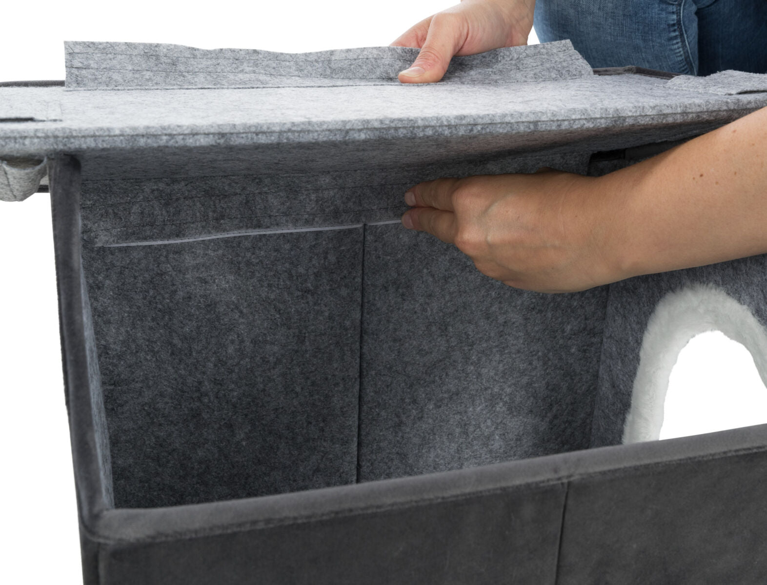 PHO_PRO_USE_CLIP_37911-37912-8