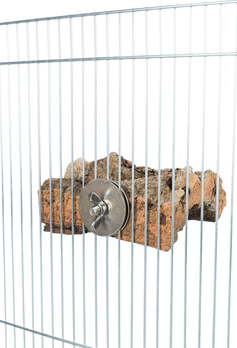 PHO_PRO_USE_CLIP_58041-2