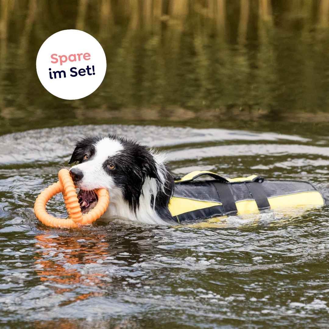 Set Schwimmweste und Schwimmspielzeug für Hunde