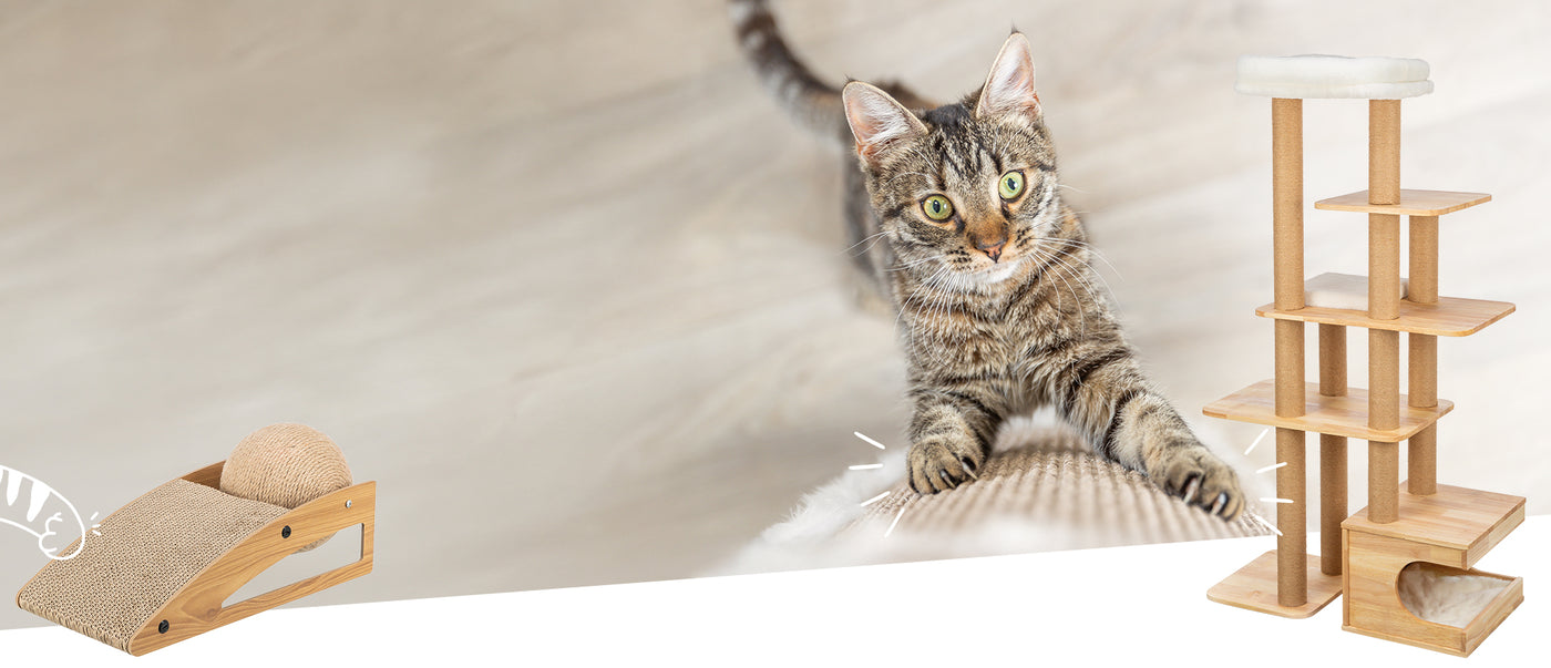 Im Vordergrund streckt sich eine getigerte Katze mit grünen Augen an einem Kratzmöbel empor – bereit zum Krallenwetzen. Rechts im Bild steht ein großer, naturfarbener TRIXIE-Kratzbaum aus Holz mit mehreren Ebenen, Liegeflächen und einer Kuschelhöhle. Links ist ein modernes Kratzspielzeug zu sehen: eine schräge Kratzfläche mit integrierter Sisalkugel. Der Hintergrund ist hell und weichgezeichnet, was die Produkte und die Katze in den Fokus rückt. Das Bild vermittelt Spieltrieb, Krallenpflege und wohnliches D