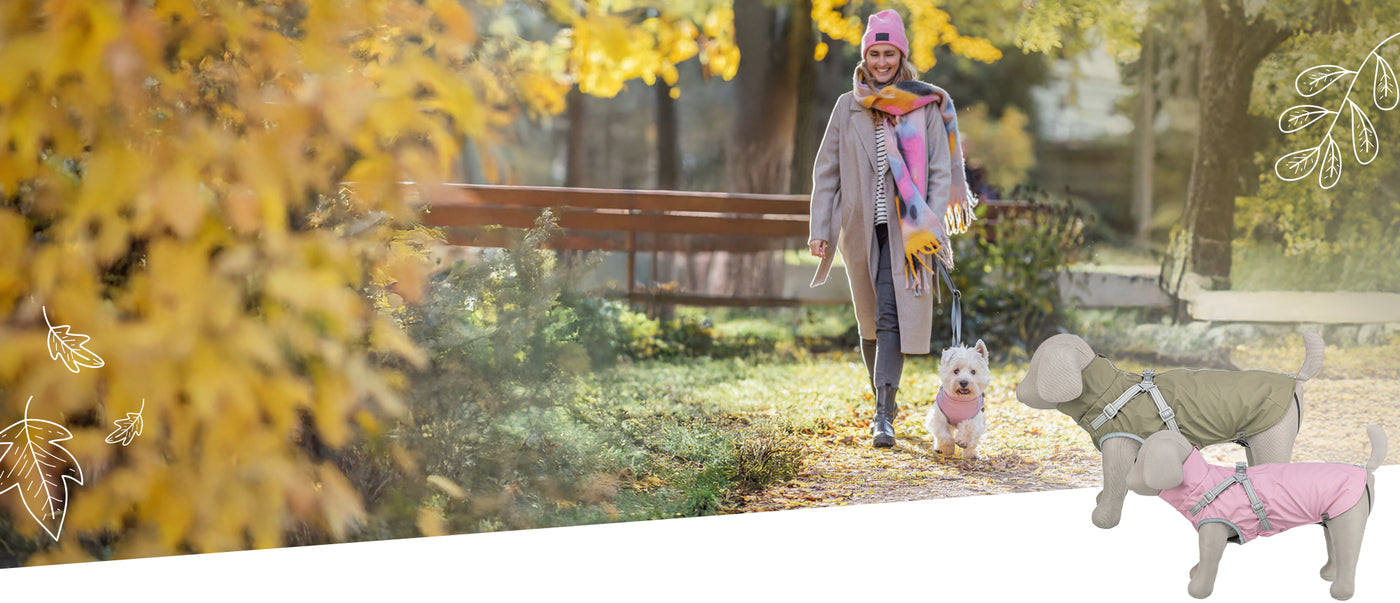 Eine Frau mit langen Haaren und beigefarbener Jacke geht an einem herbstlichen Tag im Park spazieren. Neben ihr läuft ein kleiner Hund, der einen rosa TRIXIE-Mantel trägt. Im Vordergrund stehen zwei dekorative Hundemodelle auf einem Holzpodest: Einer trägt einen olivgrünen Mantel, der andere ebenfalls ein rosa Modell. Die Szene ist in warmes, natürliches Licht getaucht und vermittelt eine gemütliche Herbststimmung. Im Hintergrund sind Laubbäume mit gelbem und orangem Herbstlaub zu sehen.