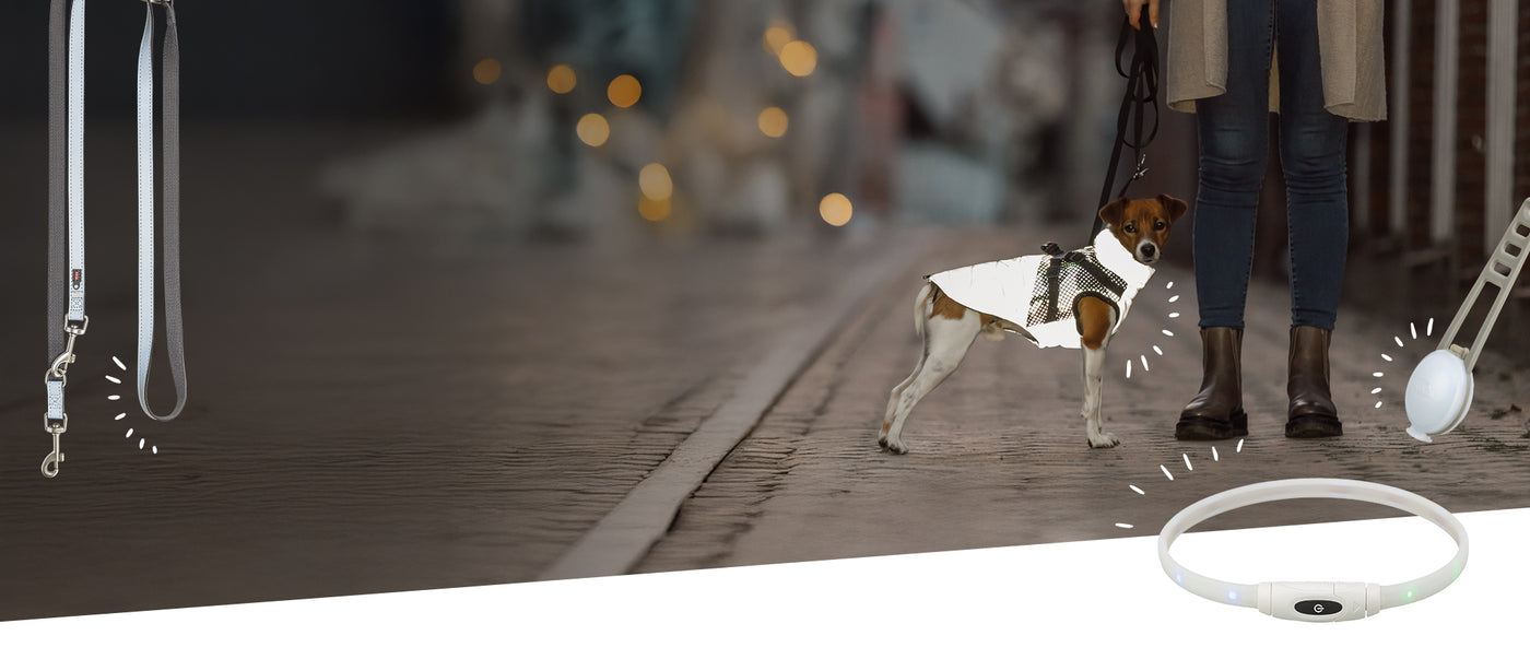 Bei Dämmerung steht eine Person mit einem kleinen Hund auf einer regennassen, gepflasterten Straße. Der Hund trägt einen reflektierenden Mantel, der hell im Lichtschein leuchtet. Die Leine wirkt ebenfalls reflektierend. Um die Szene herum sind zusätzliche TRIXIE-Safer-Life-Produkte eingeblendet: ein LED-Leuchthalsband unten im Bild, eine reflektierende Leine links und ein rundes Blinklicht rechts. Im Hintergrund sind verschwommene Lichtpunkte zu erkennen, die eine herbstlich-winterliche Abendstimmung andeut