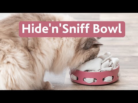 Hide'n'Sniff Bowl