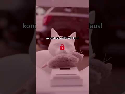 3fkmbFNC1S4