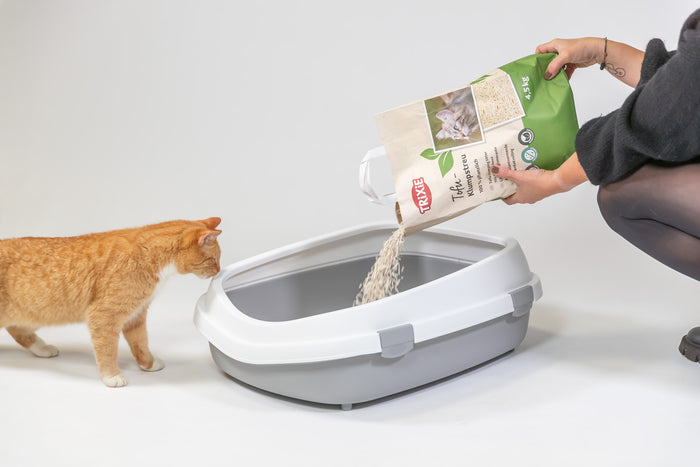 TRIXIE Tofu Klumpstreu wird in offene Katzentoilette gefüllt, orange Katze schaut zu